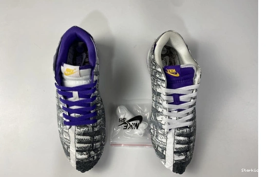 Dunk Low School Flip Old the Nike DJ4636-100 0710